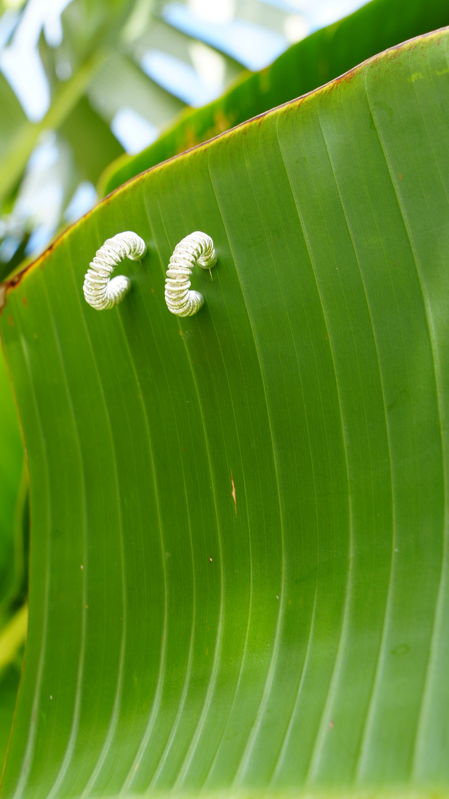 Monarca Baby Earrings